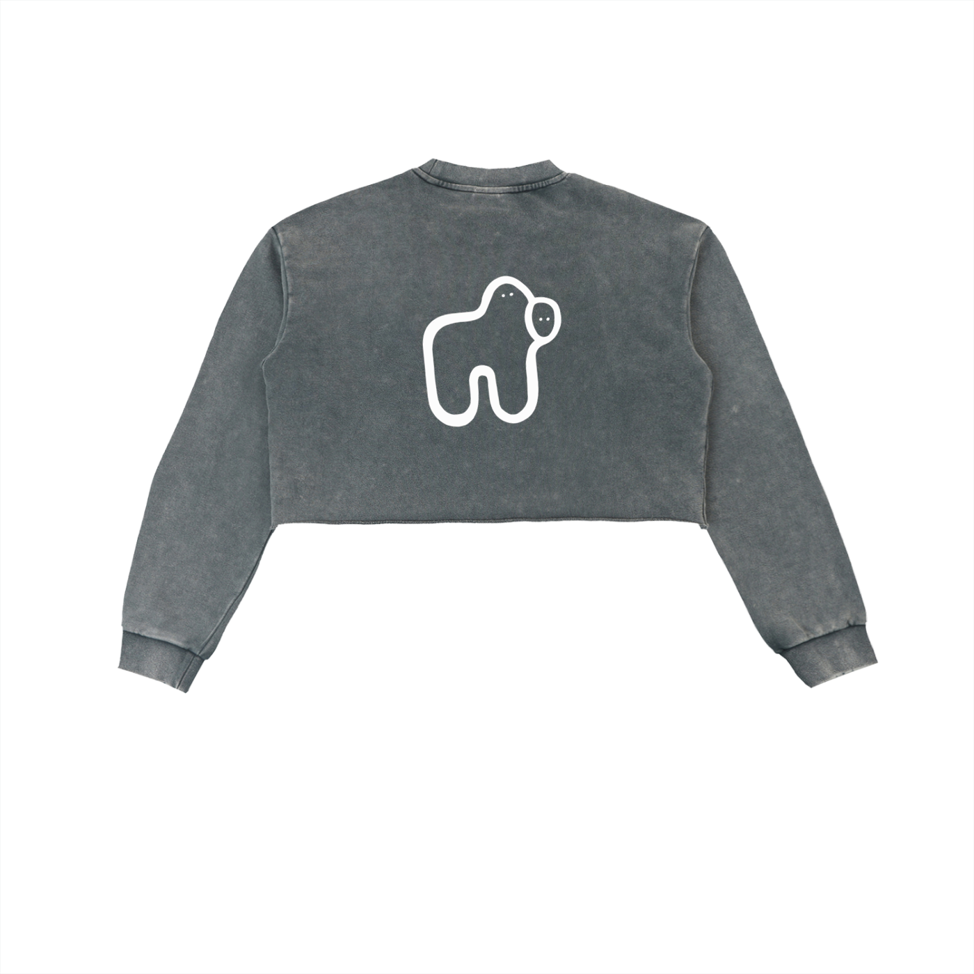 Washed Cropped Long Sleeve