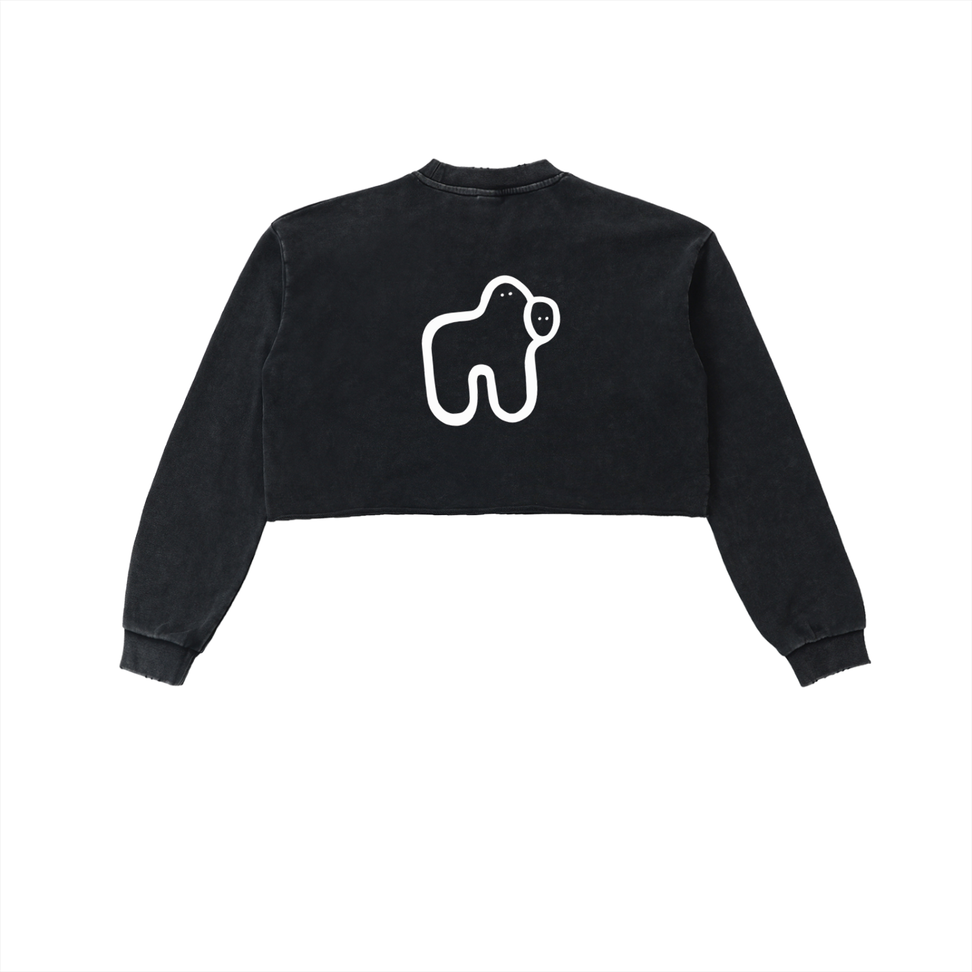 Washed Cropped Long Sleeve