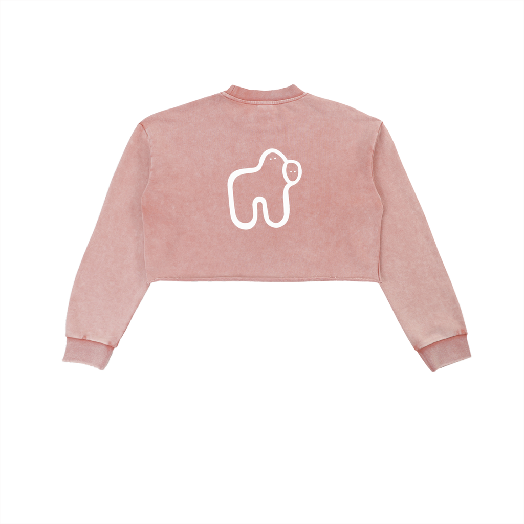 Washed Cropped Long Sleeve