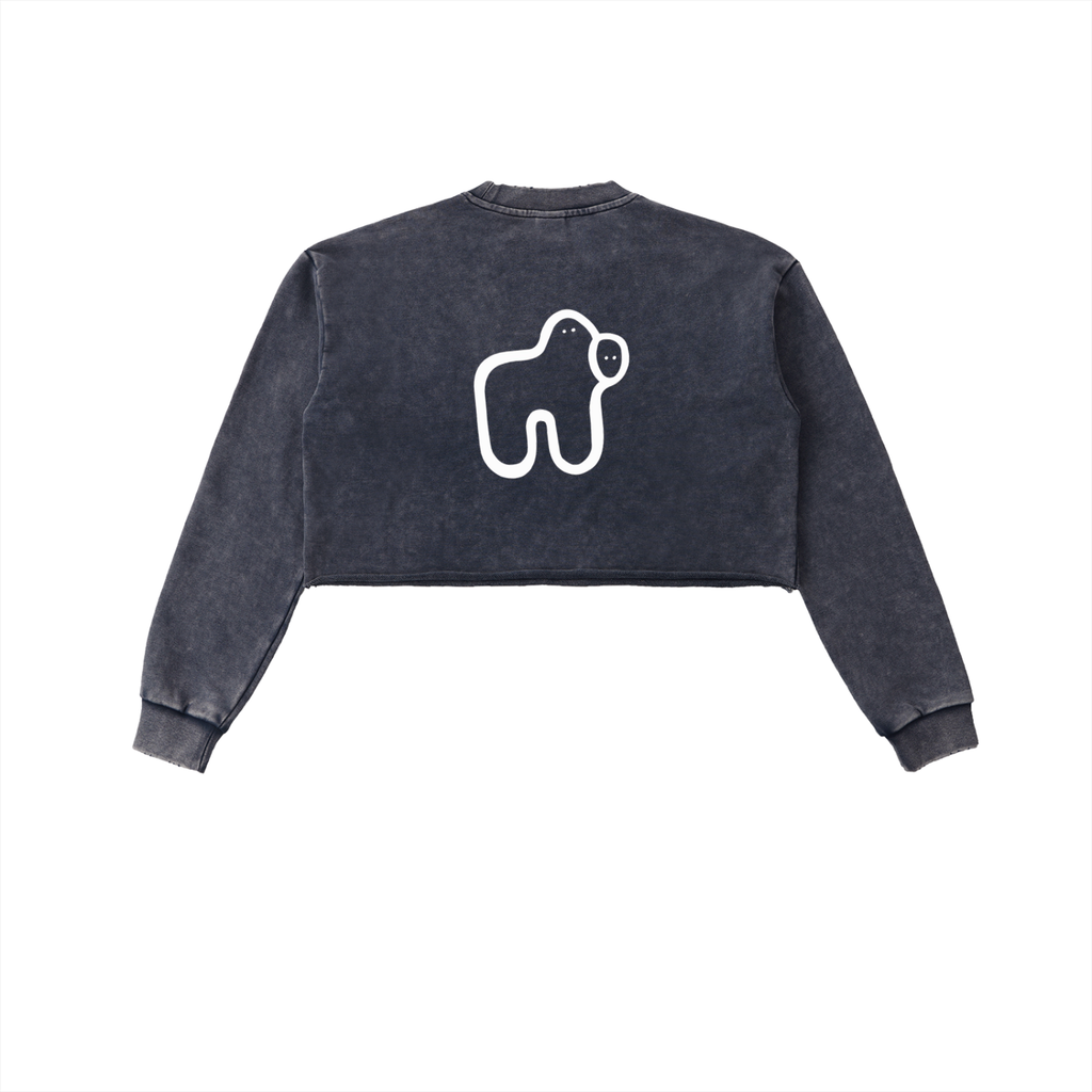 Washed Cropped Long Sleeve