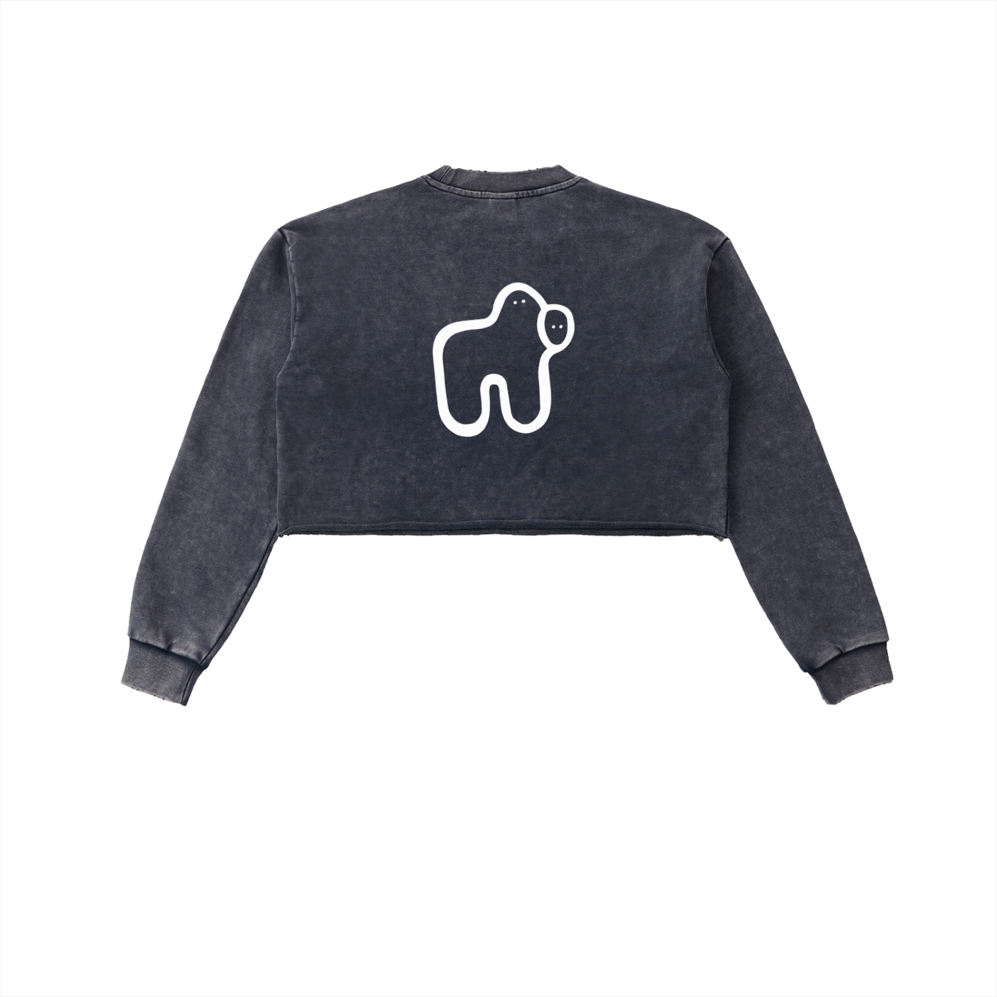 Washed Cropped Long Sleeve